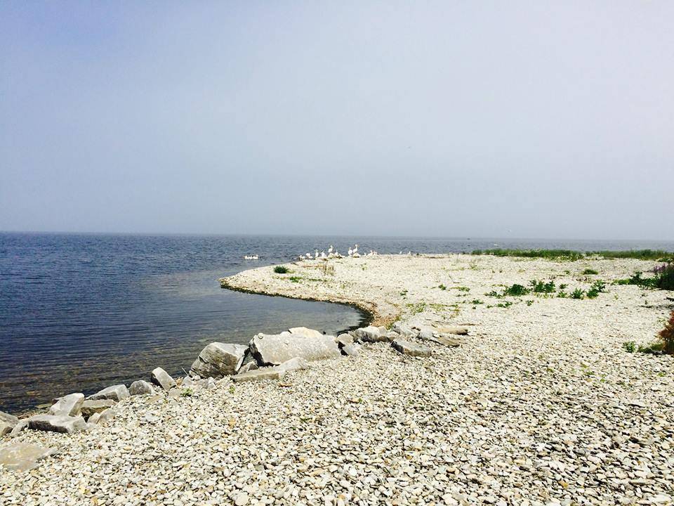 compass rose | restaurant | 9254 Lime Kiln Rd, Sturgeon Bay, WI 54235, USA | 9208245334 OR +1 920-824-5334