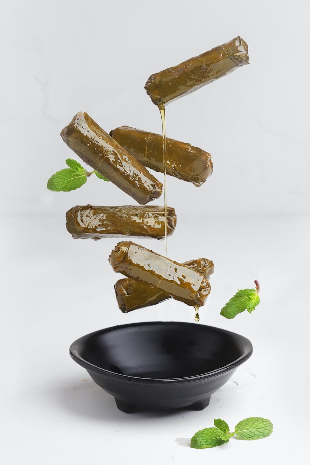 Delights of Beirut | restaurant | 7400 SW 57th Ave #4, Miami, FL 33143, USA | 7865584954 OR +1 786-558-4954