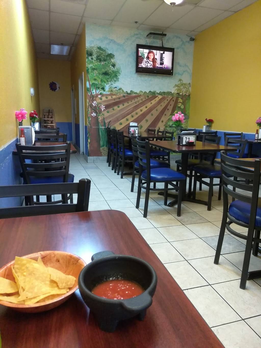 Ofelias Taqueria | restaurant | 3019 N Tracy Blvd, Tracy, CA 95376, USA | 2098350852 OR +1 209-835-0852