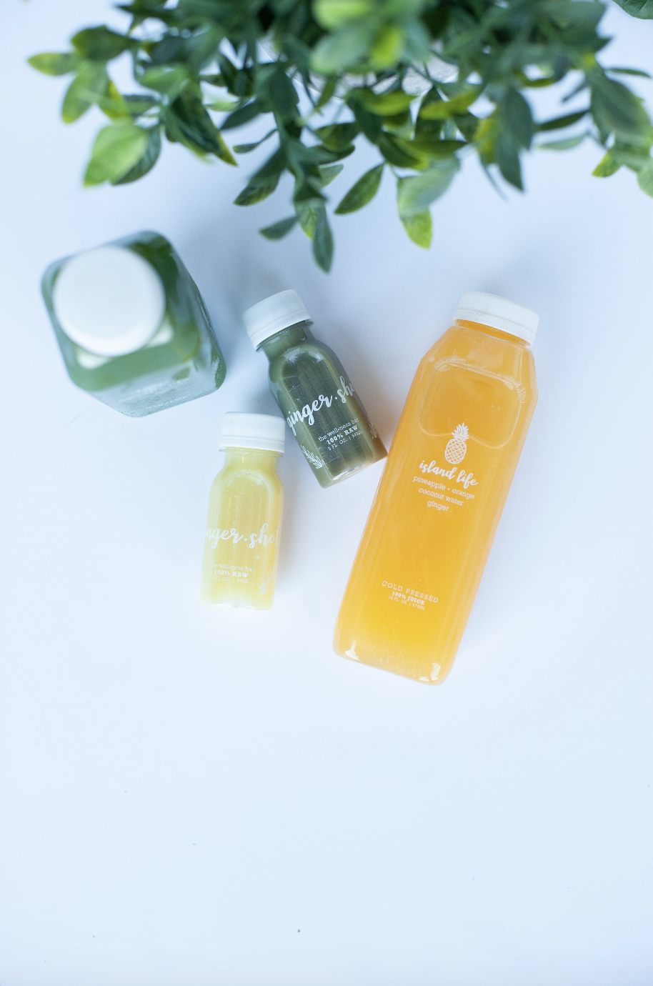 The Wellness Bar Hayden | restaurant | 8110 N Government Wy, Hayden, ID 83835, USA | 2089664028 OR +1 208-966-4028