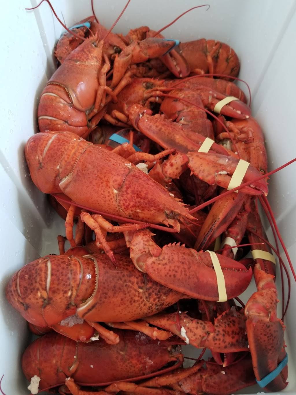 Simply Lobsters | restaurant | 1290 Lisbon St, Lewiston, ME 04240, USA | 8007963189 OR +1 800-796-3189