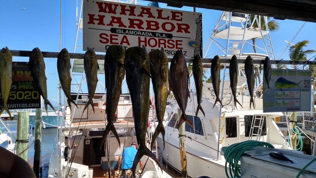 Whale Harbor Marina | restaurant | 83413 Overseas Hwy, Islamorada, FL 33036, USA | 3056644511 OR +1 305-664-4511