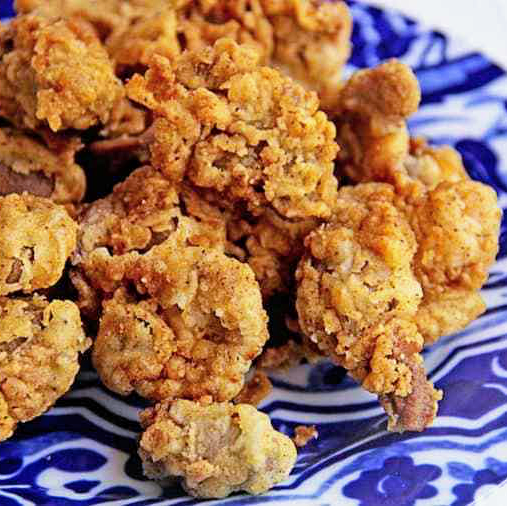 Gyro Cafe | restaurant | 4222 Gunn Hwy, Tampa, FL 33618, USA | 8102698899 OR +1 810-269-8899