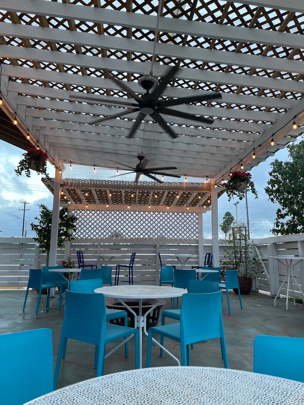 Cabo Bar and Grille | restaurant | 2301 W, US Hwy 77, San Benito, TX 78586, USA | 9562764995 OR +1 956-276-4995