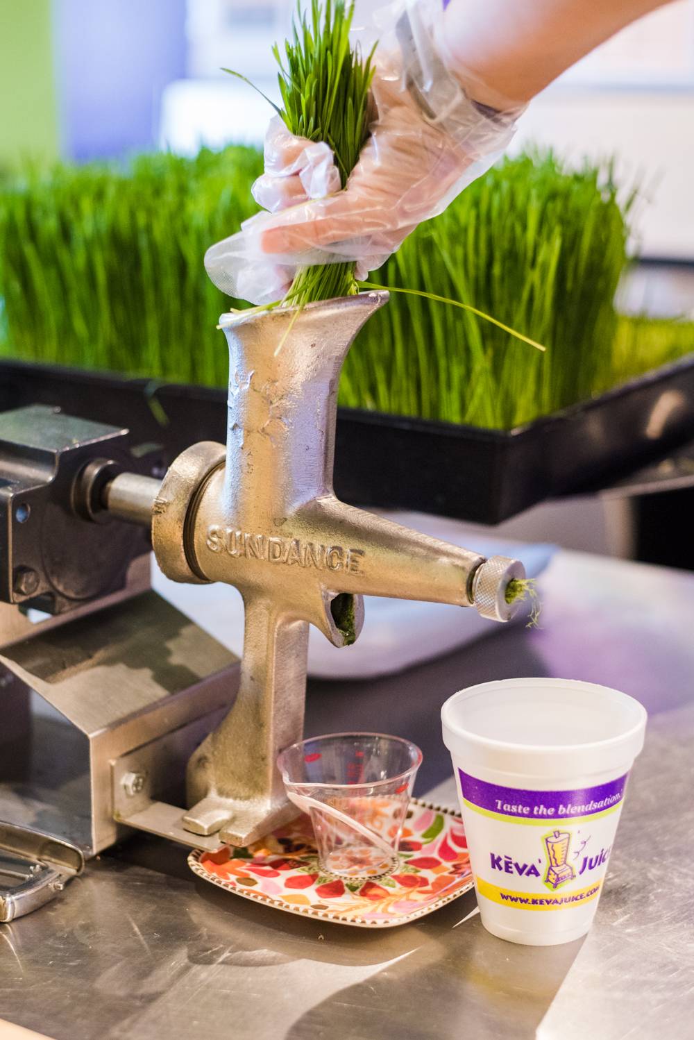 Keva Juice | cafe | 748 S Meadows Pkwy A10, Reno, NV 89521, USA | 7753788918 OR +1 775-378-8918