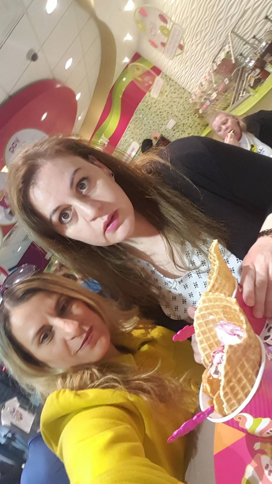 Menchies Frozen Yogurt | bakery | 7339 Lemont Rd, Downers Grove, IL 60516, USA | 6305151650 OR +1 630-515-1650