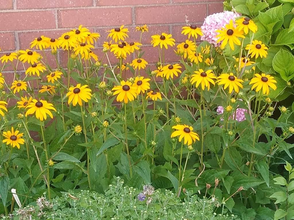 Crown Burgers | restaurant | 377 E 200 S, Salt Lake City, UT 84111, USA | 8015321155 OR +1 801-532-1155