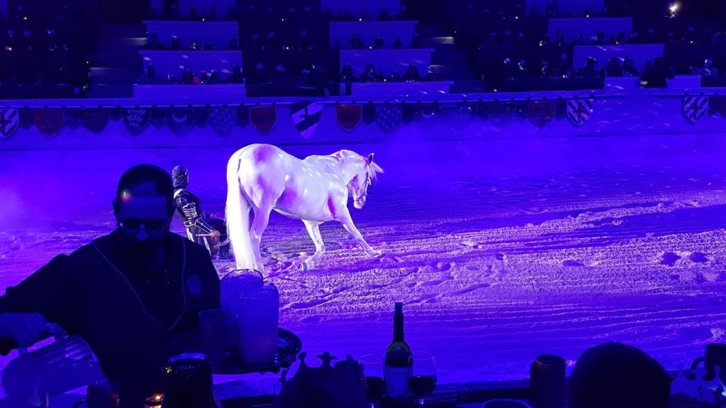 Medieval Times Dinner & Tournament | restaurant | 2021 N Stemmons Fwy, Dallas, TX 75207, USA | 2147611801 OR +1 214-761-1801