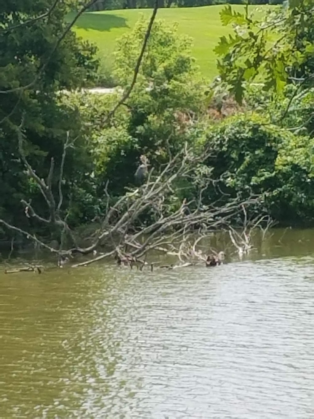 Willow Ridge Golf Club | restaurant | 3311 N River Rd, Fort Gratiot Twp, MI 48059, USA | 8109827010 OR +1 810-982-7010