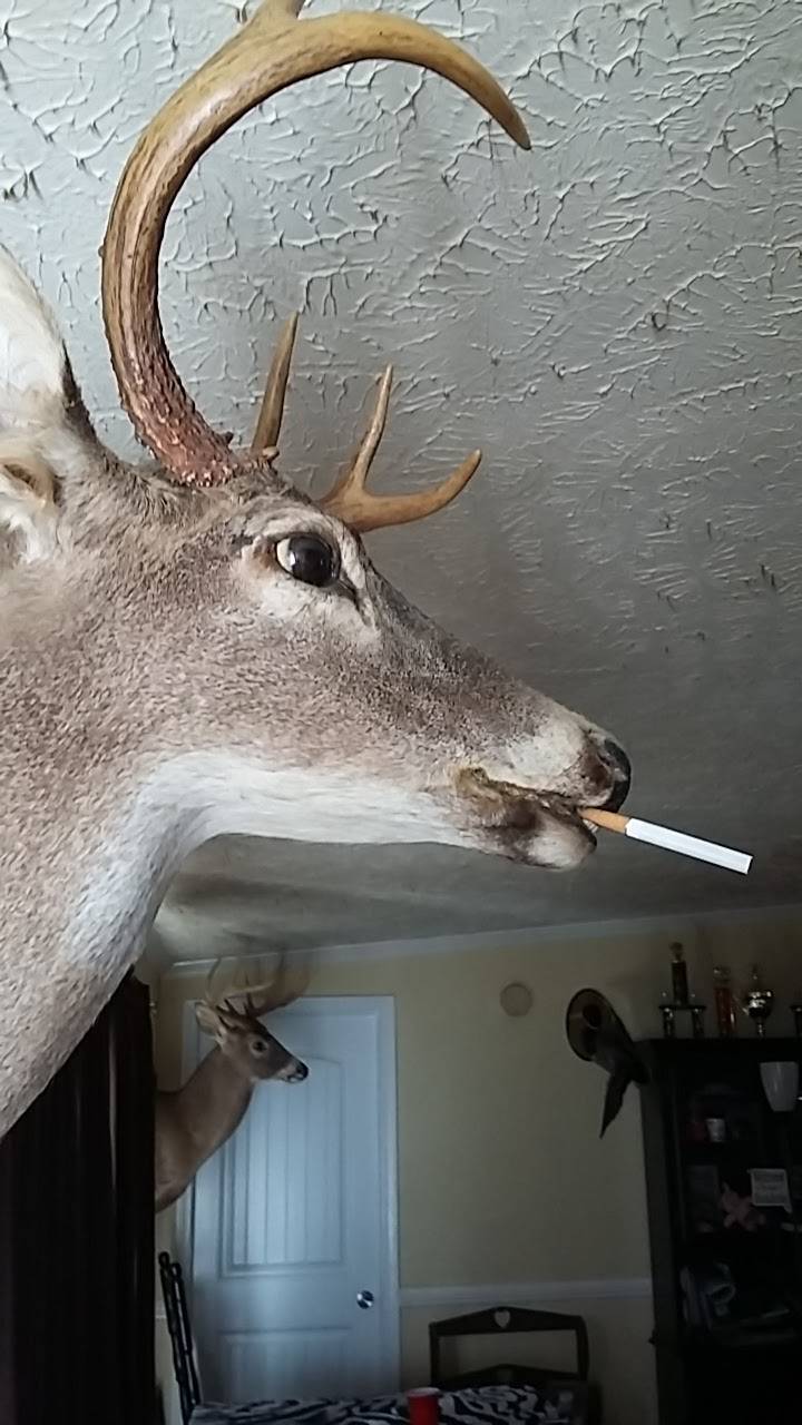 Bobs Restaurant | restaurant | 13230 US-601, Midland, NC 28107, USA | 7048883898 OR +1 704-888-3898