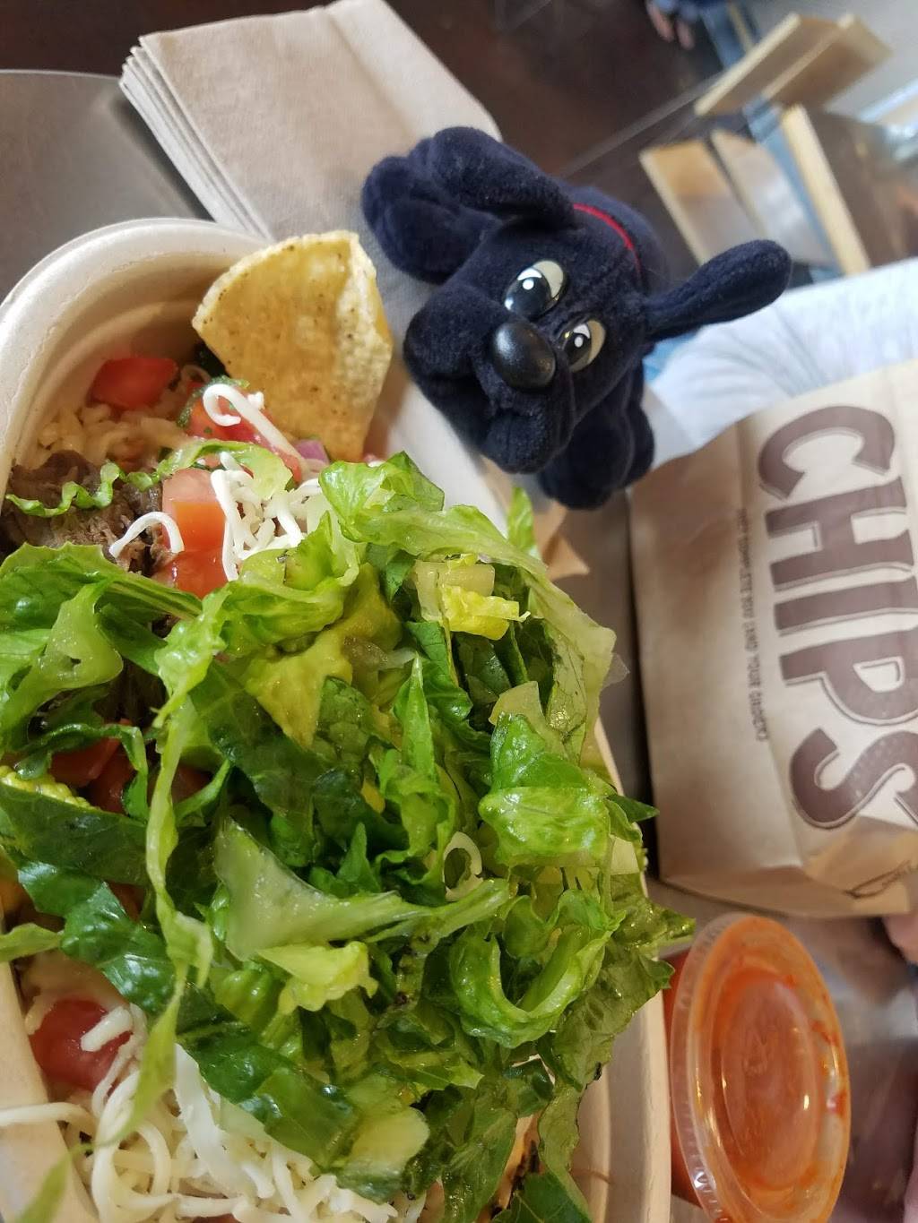 Chipotle Mexican Grill | restaurant | 1558 E Wooster St, Bowling Green, OH 43402, USA | 4193534534 OR +1 419-353-4534