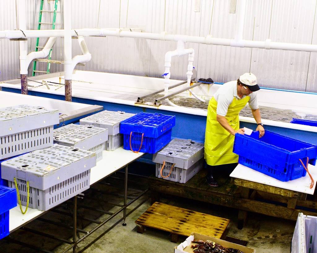 Metropolitan Meat, Seafood & Poultry | restaurant | 1920 Stanford Ct, Landover, MD 20785, USA | 3017720060 OR +1 301-772-0060