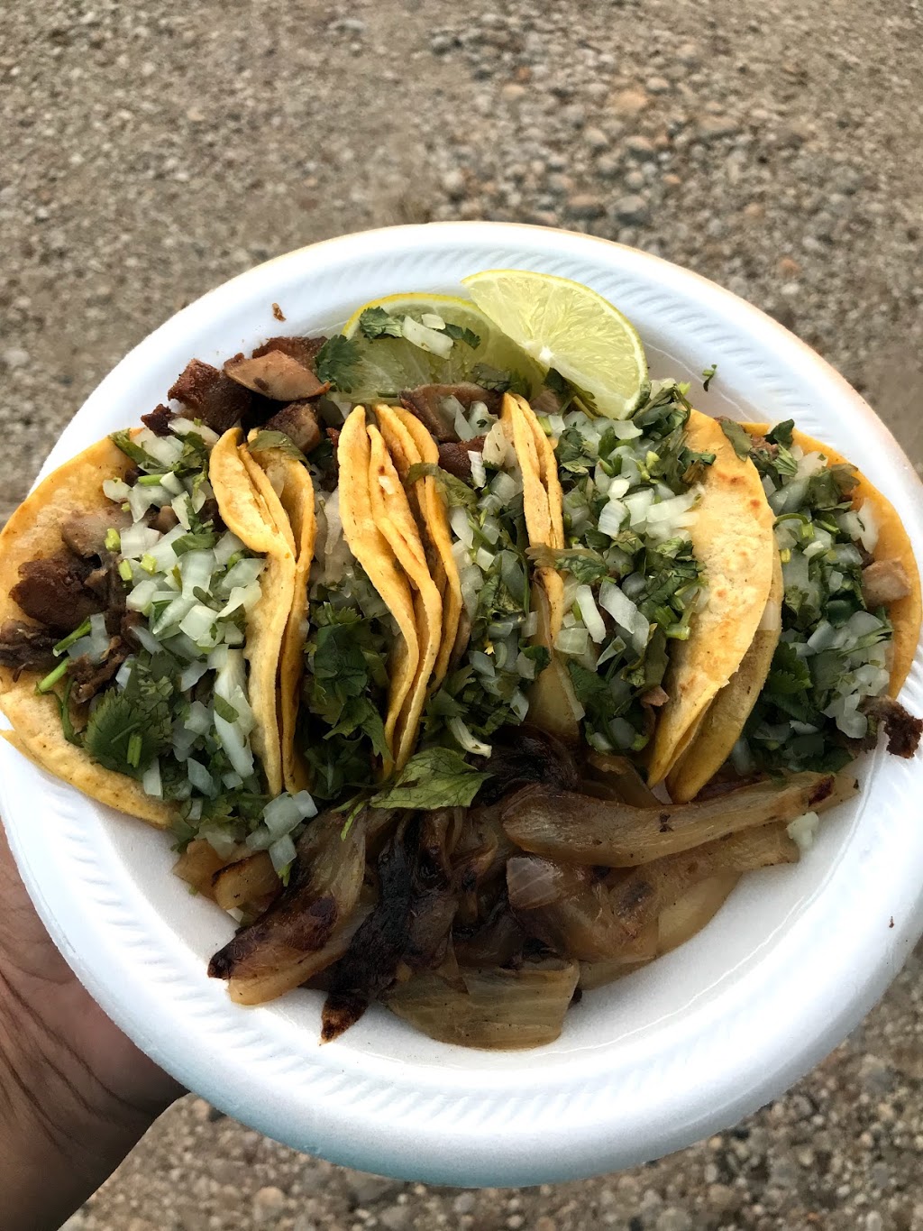 Tacos El Pelón | restaurant | 1923 Blanco Rd #2618, San Antonio, TX 78212, USA | 2105488810 OR +1 210-548-8810