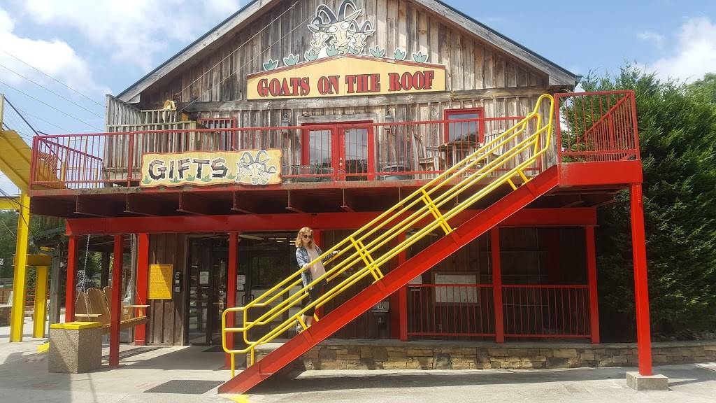 Goats On The Roof | restaurant | 3026 US-441, Tiger, GA 30576, USA | 7067822784 OR +1 706-782-2784