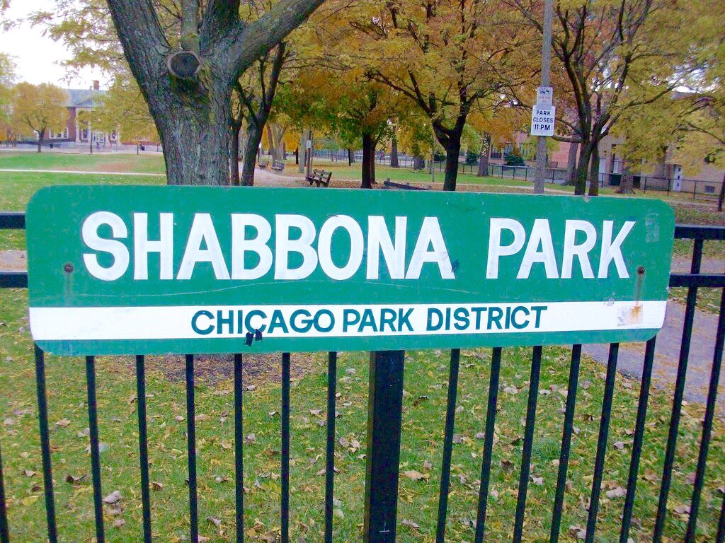 Lucky Dawgs Food Truck | restaurant | 6935 W Addison St, Chicago, IL 60634, USA | 7738164760 OR +1 773-816-4760