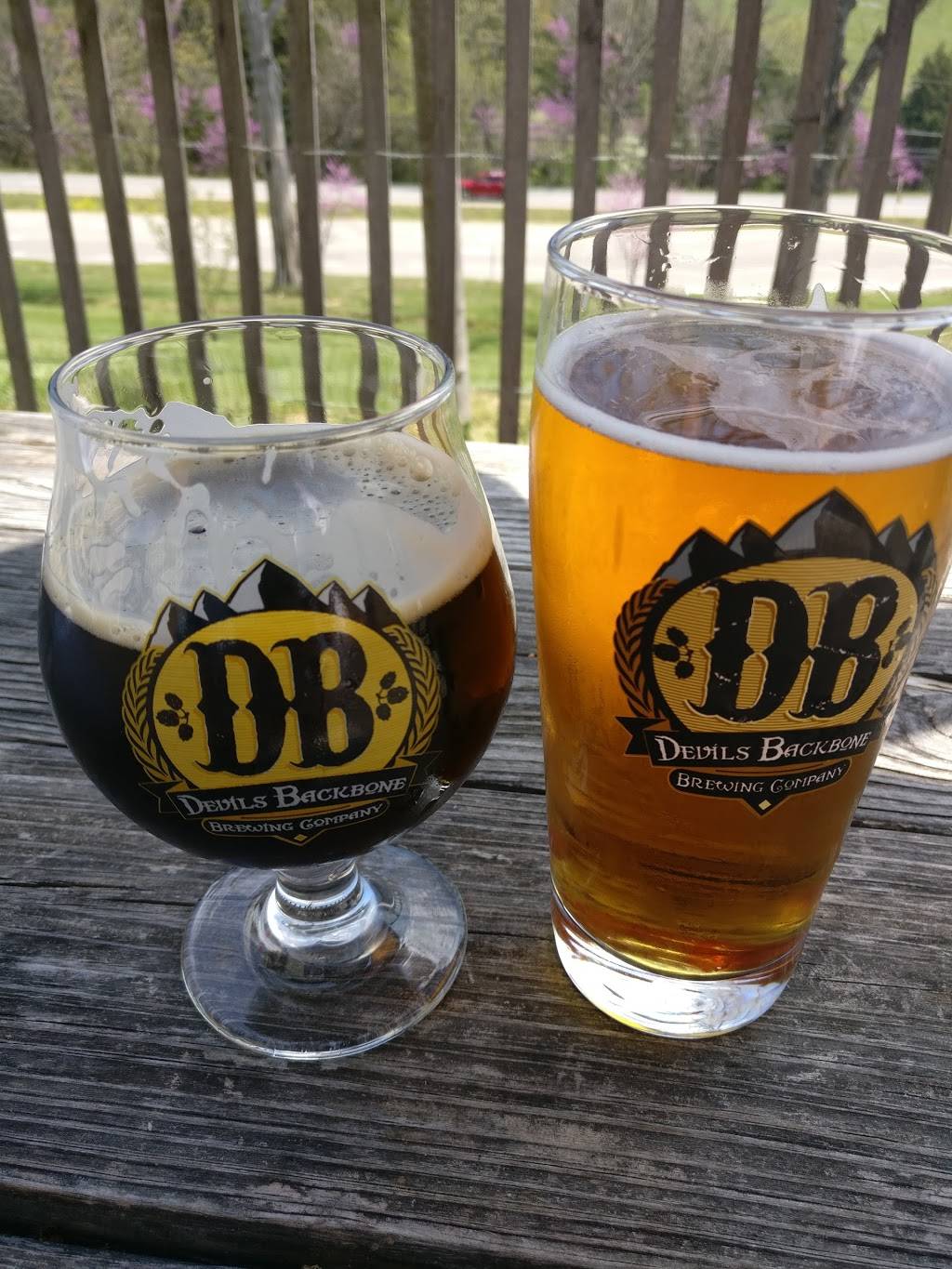 Devils Backbone Brewing Company | restaurant | 50 N Wind Ln, Lexington, VA 24450, USA | 5408176071 OR +1 540-817-6071