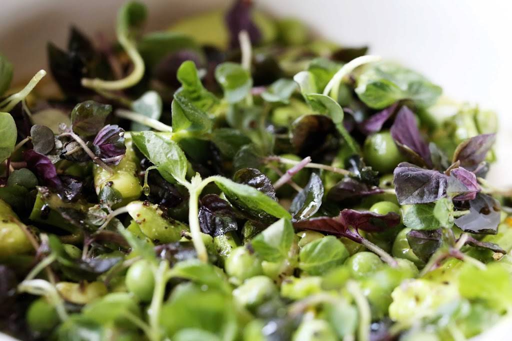 Upland | restaurant | 49 Collins Ave, Miami Beach, FL 33139, USA | 3056029998 OR +1 305-602-9998