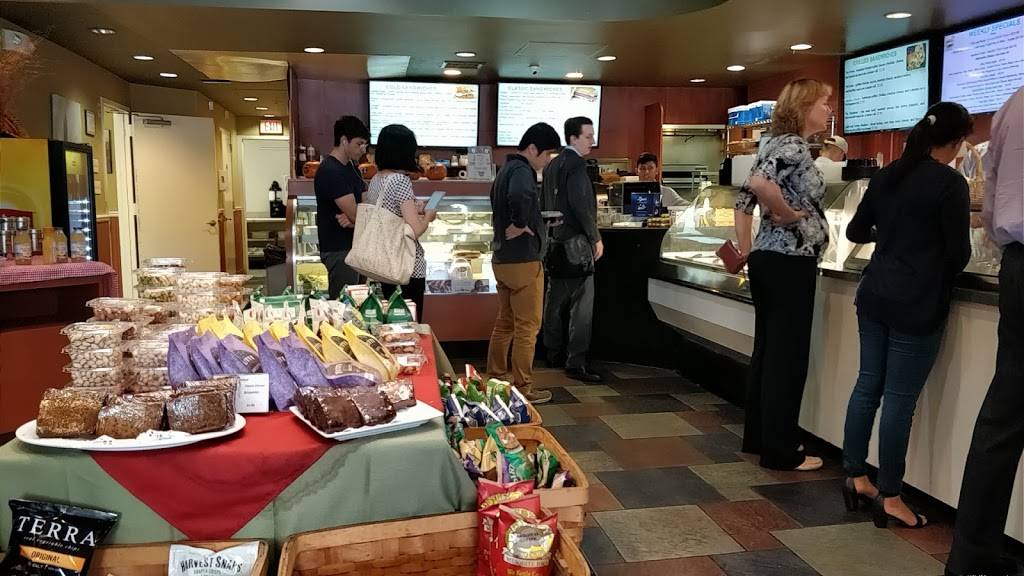 Olive Branch Cafe | restaurant | 26 Railroad Ave, Greenwich, CT 06830, USA | 2036229099 OR +1 203-622-9099