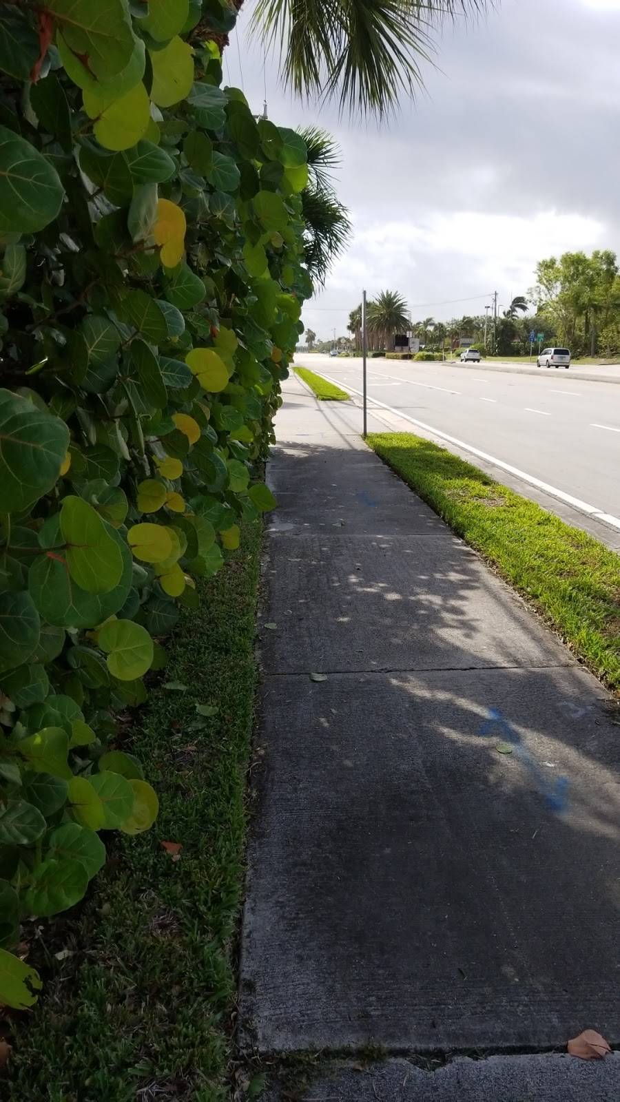 Chow Cab | restaurant | 754 US-1, Tequesta, FL 33469, USA | 5617443222 OR +1 561-744-3222