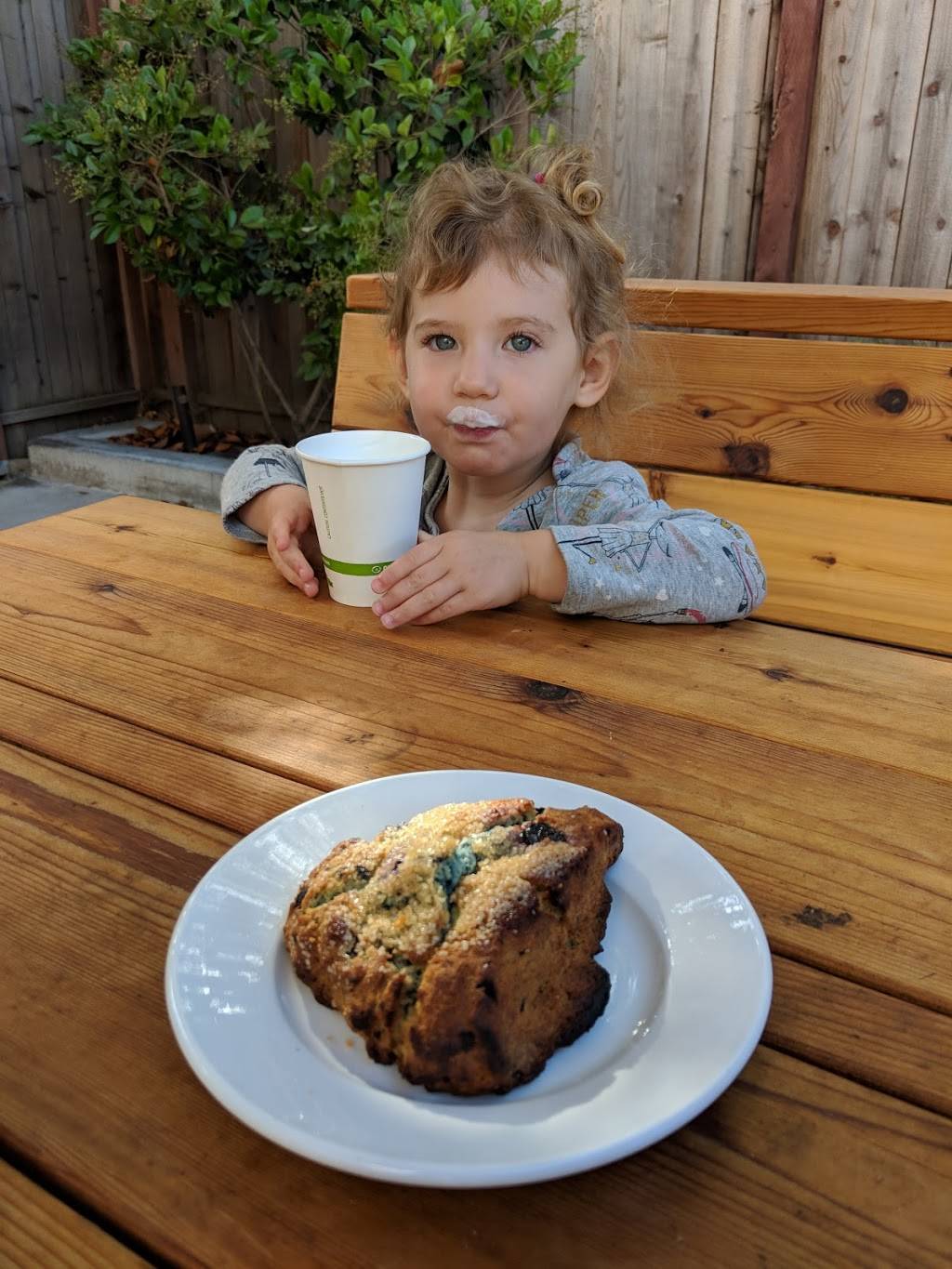 Way Station Brew | cafe | 2120 Dwight Way, Berkeley, CA 94704, USA | 5109821905 OR +1 510-982-1905