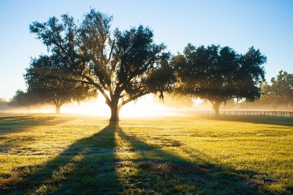 The Club at Ocala Preserve | restaurant | 4021 NW 53rd Ave Rd, Ocala, FL 34482, USA | 3525095180 OR +1 352-509-5180