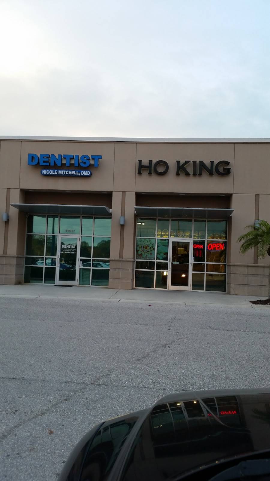 Ho King | restaurant | 18041 Highwoods Preserve Pkwy, Tampa, FL 33647, USA | 8138661541 OR +1 813-866-1541