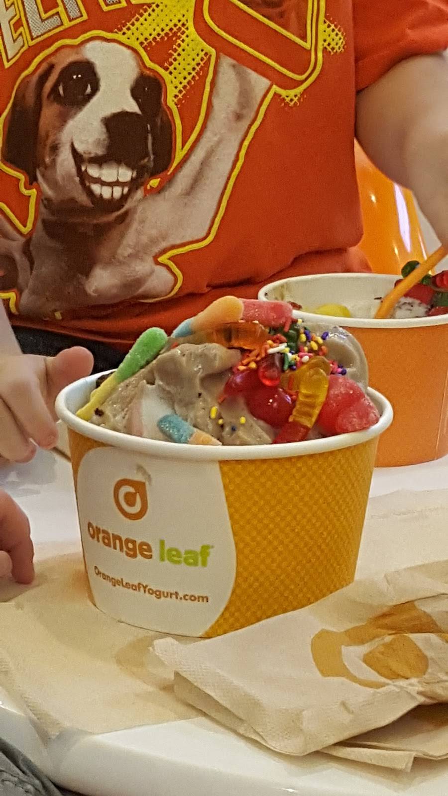 Orange Leaf | restaurant | 160 Creekside Way Ste 502, New Braunfels, TX 78130, USA | 8306089526 OR +1 830-608-9526