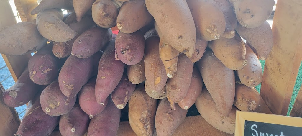 La Grange Fruit Stand | restaurant | 29606 Yosemite Blvd, La Grange, CA 95329, USA | 2099309201 OR +1 209-930-9201