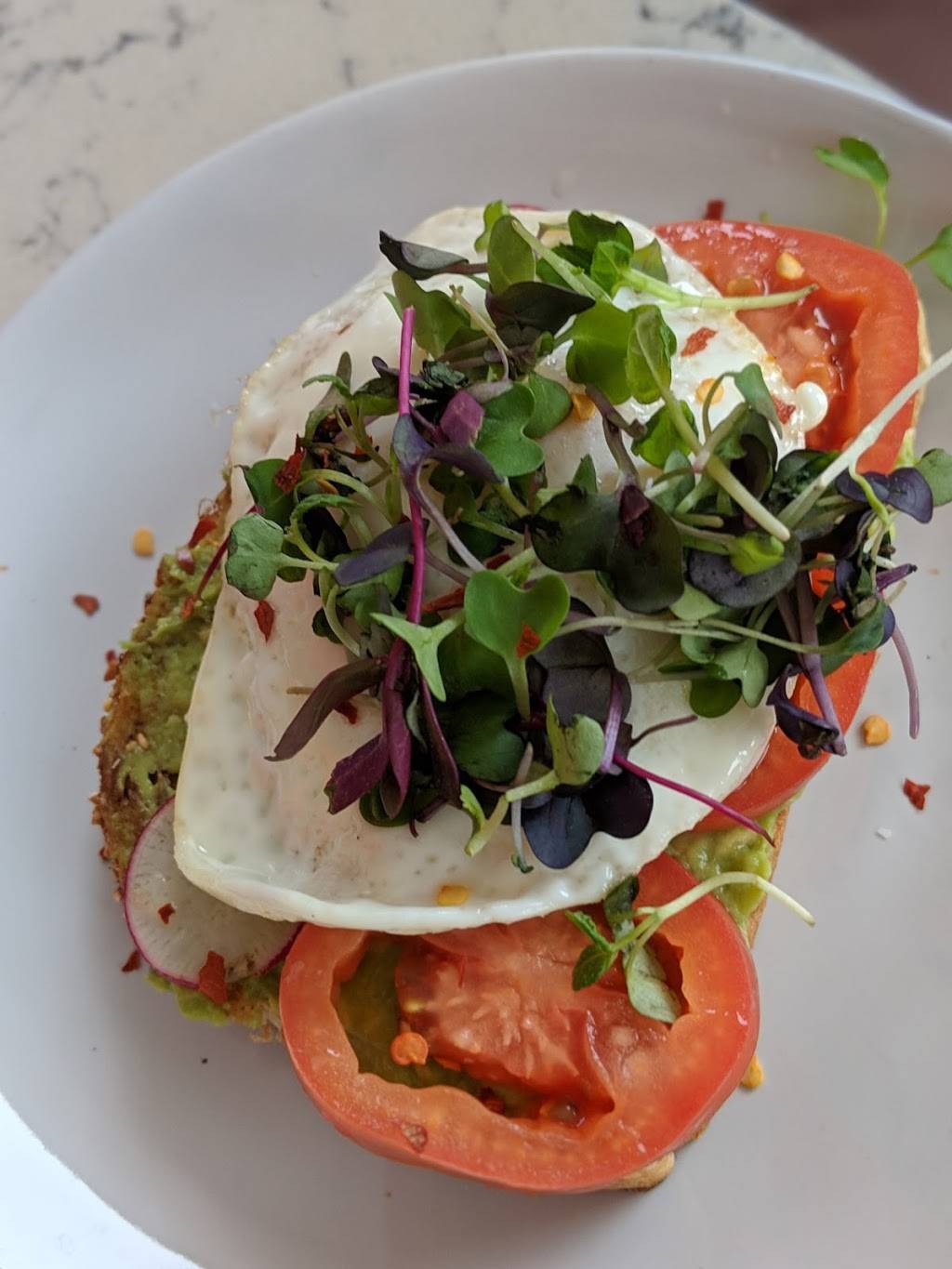 EggHaus Gourmet | restaurant | 2042 E T C Jester Blvd, Houston, TX 77008, USA | 7134896719 OR +1 713-489-6719