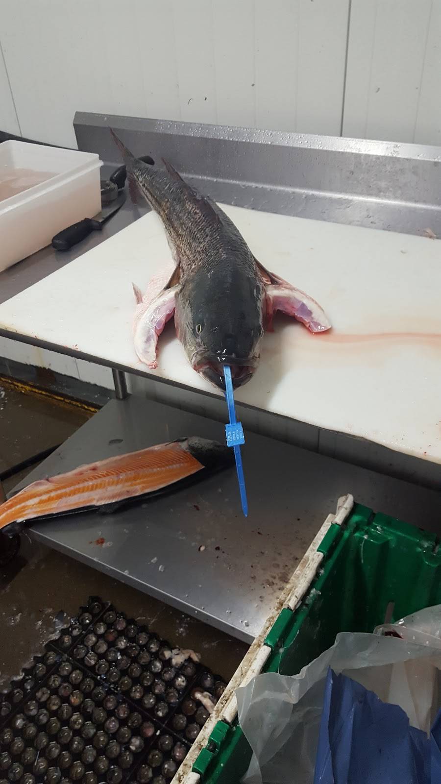 Golden China Restaurant | restaurant | 1965 New Hwy #5, Farmingdale, NY 11735, USA | 6316946830 OR +1 631-694-6830