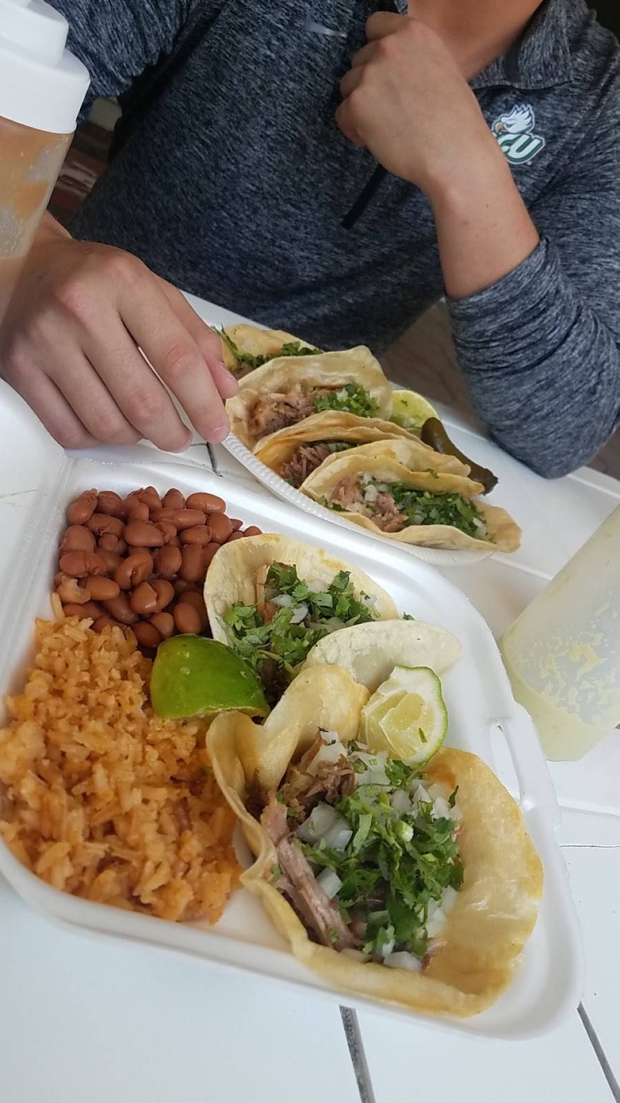 Tortilleria El Gayo | restaurant | 13616 E US-92, Dover, FL 33527, USA | 8137591917 OR +1 813-759-1917