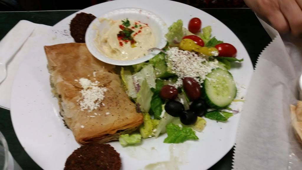 Zesty Gyros | restaurant | 1971 E Beltline Ave NE, Grand Rapids, MI 49525, USA | 6162598724 OR +1 616-259-8724