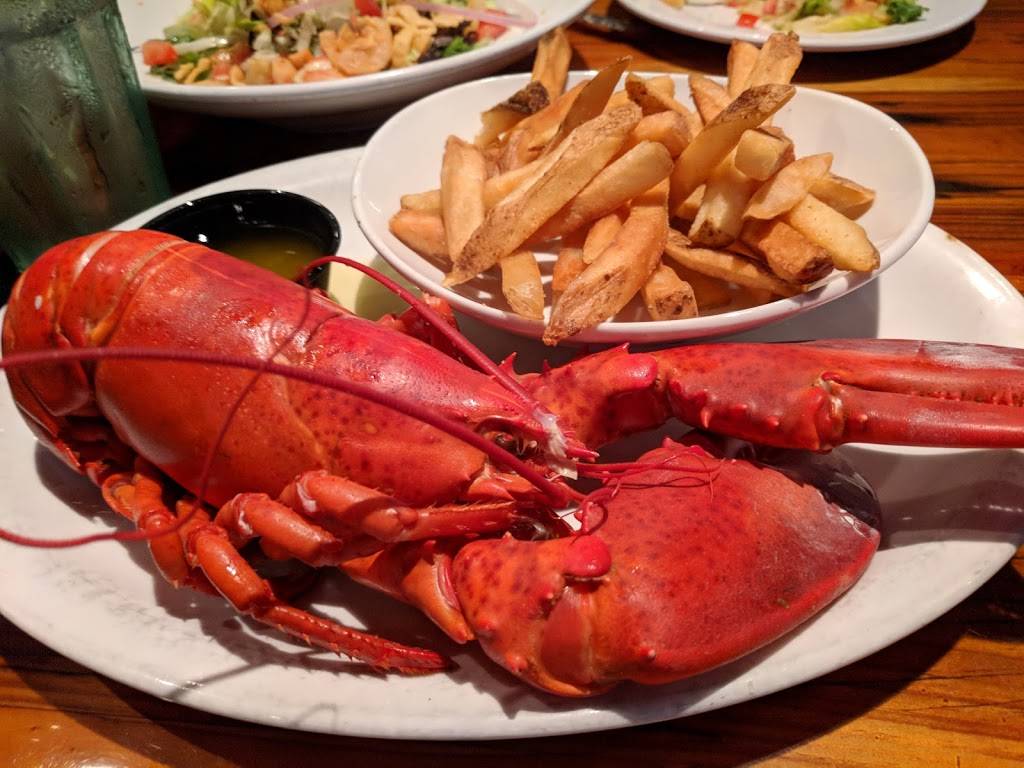 Millers Ale House - Boynton | restaurant | 2212 N Congress Ave, Boynton Beach, FL 33426, USA | 5617350591 OR +1 561-735-0591