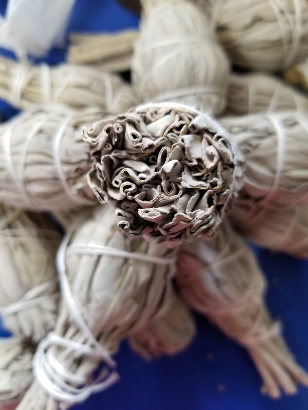 Upsala Grocery | restaurant | 300 Upsala Rd, Sanford, FL 32771, USA | 4073302000 OR +1 407-330-2000