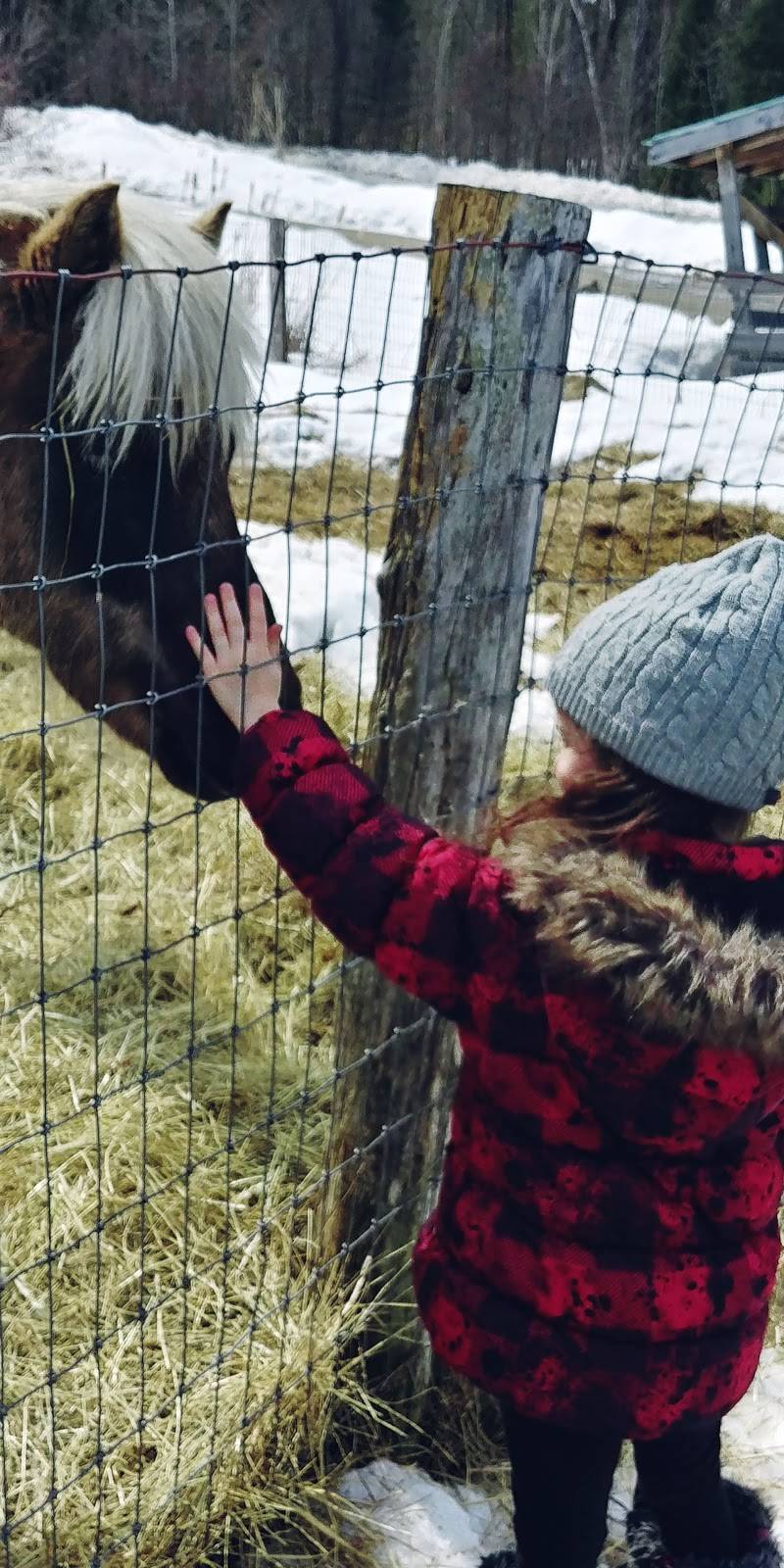 Erabliére J B Caron | restaurant | 581 Ch de Point Comfort, Gracefield, QC J0X 1W0, Canada | 8194630116 OR +1 819-463-0116