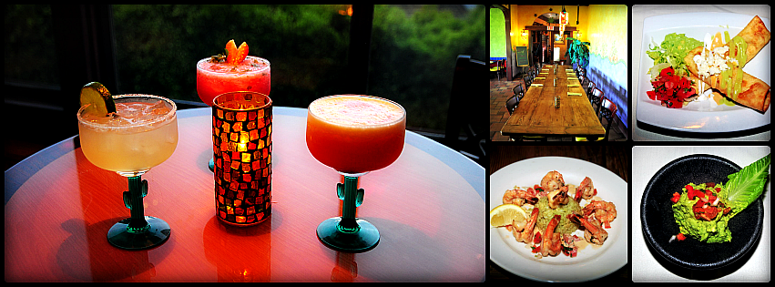 Alfredo Garcias Cantina y Cocina | restaurant | 2325 Palos Verdes Dr W, Palos Verdes Estates, CA 90274, USA | 3105441400 OR +1 310-544-1400