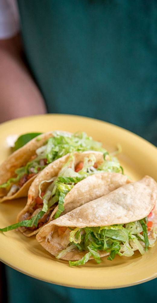 Cactus Taqueria | restaurant | 5642 College Ave, Oakland, CA 94618, USA | 5106586180 OR +1 510-658-6180