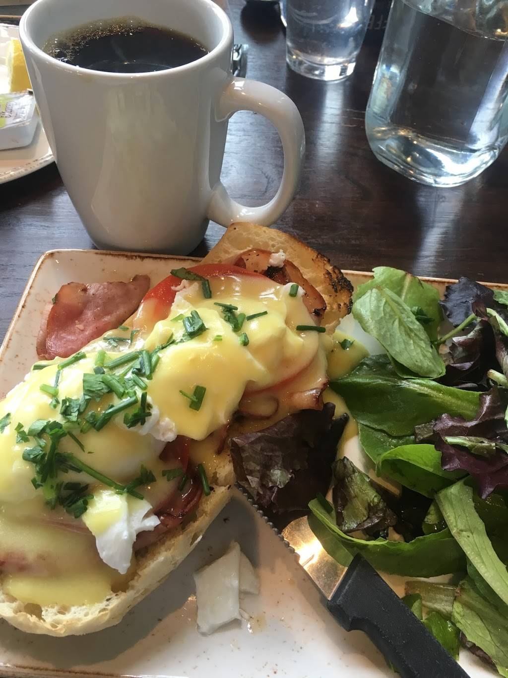 First Watch - Nicholasville Road - Now Open! | restaurant | 119 W Reynolds Rd, Lexington, KY 40503, USA | 8597854689 OR +1 859-785-4689