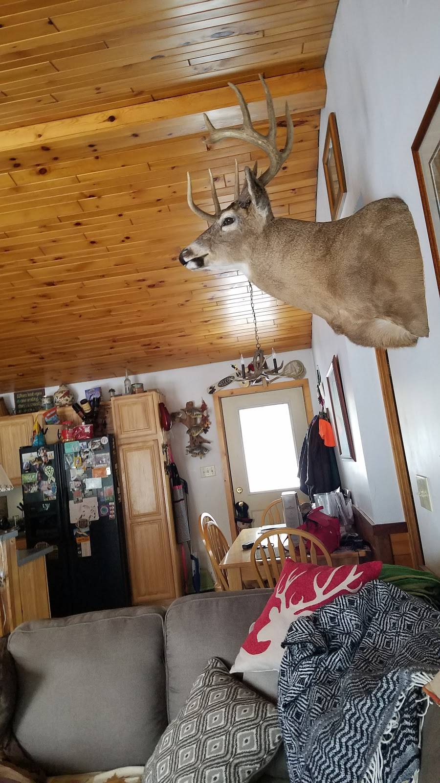 Shamrock Pub N Eatery | restaurant | 7235 Bradley St. Highway 47, Lake Tomahawk, WI 54539, USA | 7152772544 OR +1 715-277-2544