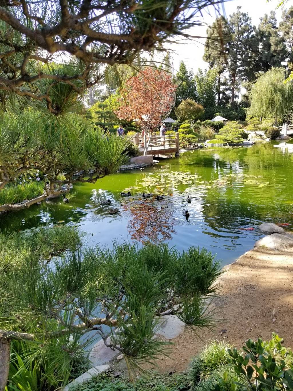 European Food Lovers | restaurant | 1250 N Bellflower Blvd, Long Beach, CA 90840, USA | 5627041374 OR +1 562-704-1374