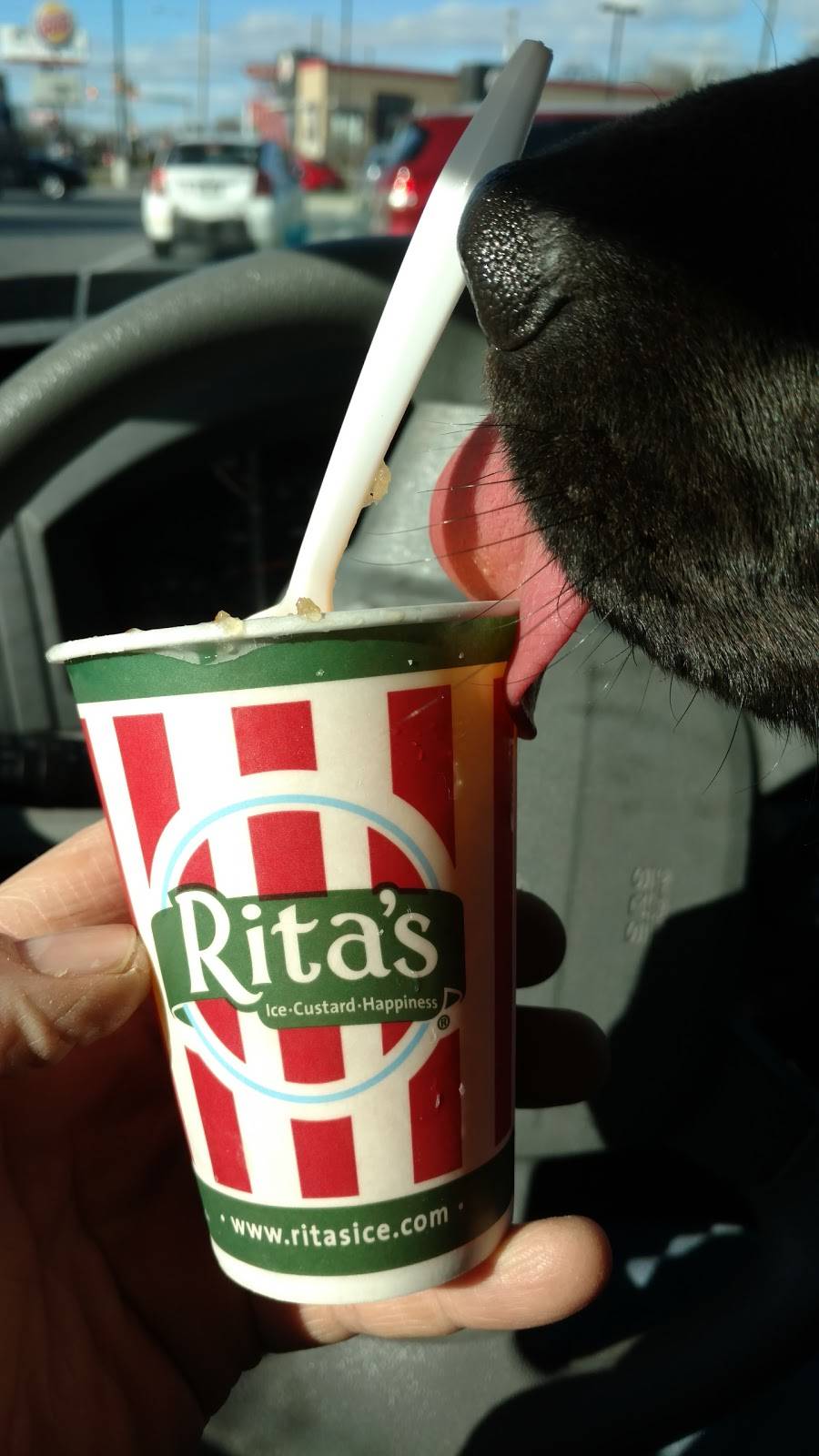 Ritas Italian Ice & Frozen Custard | restaurant | 3403 N 5th Street Hwy, Reading, PA 19605, USA | 6109299310 OR +1 610-929-9310