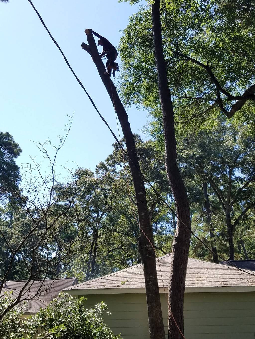 Tampico Seafood #2 | restaurant | 10125 North Fwy, Houston, TX 77037, USA | 2814452525 OR +1 281-445-2525