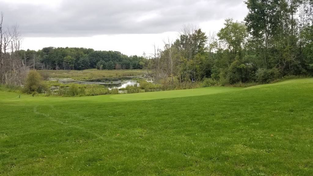 Clear Lake Golf Club | restaurant | 14777 150th Ave, Big Rapids, MI 49307, USA | 2317968200 OR +1 231-796-8200