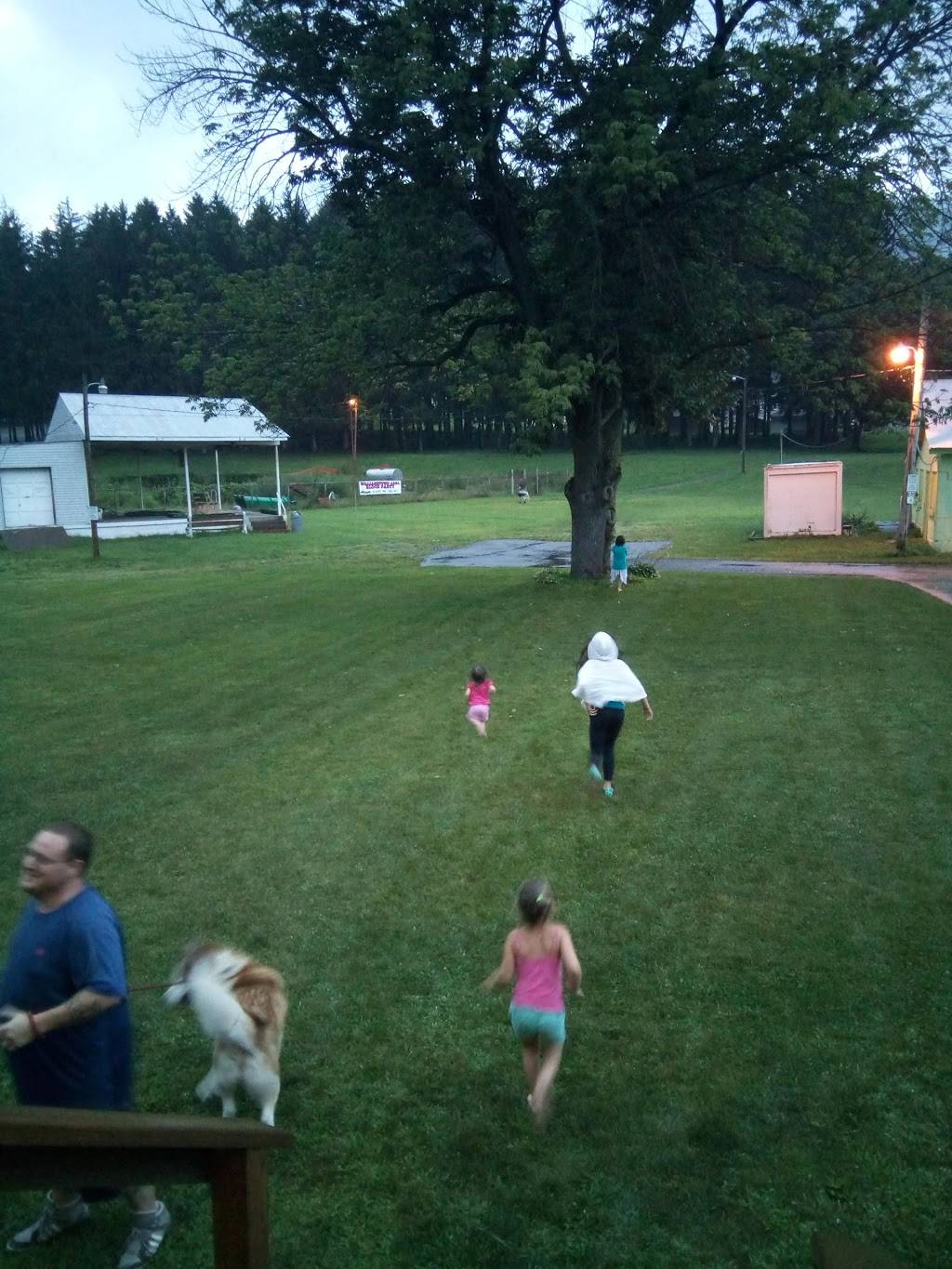 Willow Tree Ice Cream | restaurant | 505 Julian St, Williamstown, PA 17098, USA | 7176470107 OR +1 717-647-0107