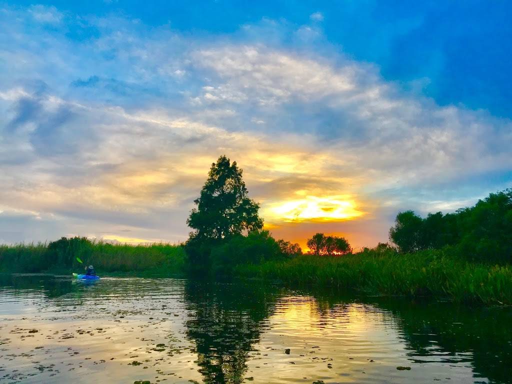 Bayou Adventure | cafe | 28178 U.S. Hwy 190, Lacombe, LA 70445, USA | 9858829208 OR +1 985-882-9208