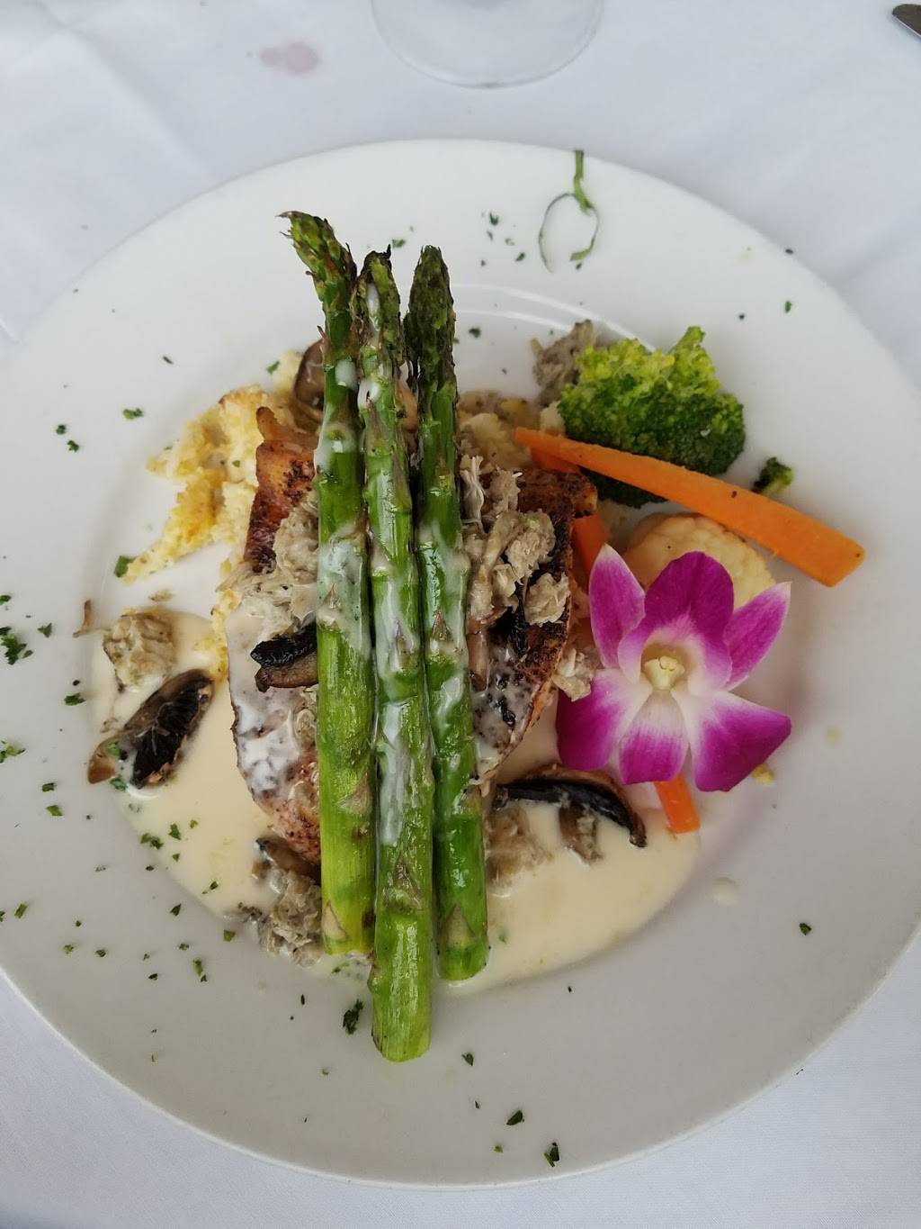 Michaels Grill | restaurant | 11720 N Dale Mabry Hwy, Tampa, FL 33618, USA | 8139648334 OR +1 813-964-8334