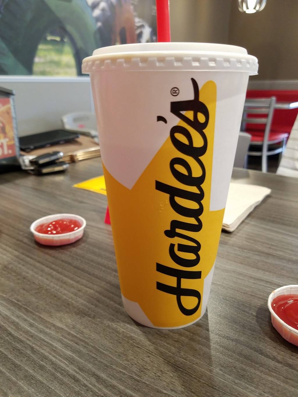 Hardees | restaurant | 816 Cosby Hwy, Newport, TN 37821, USA | 4236239471 OR +1 423-623-9471