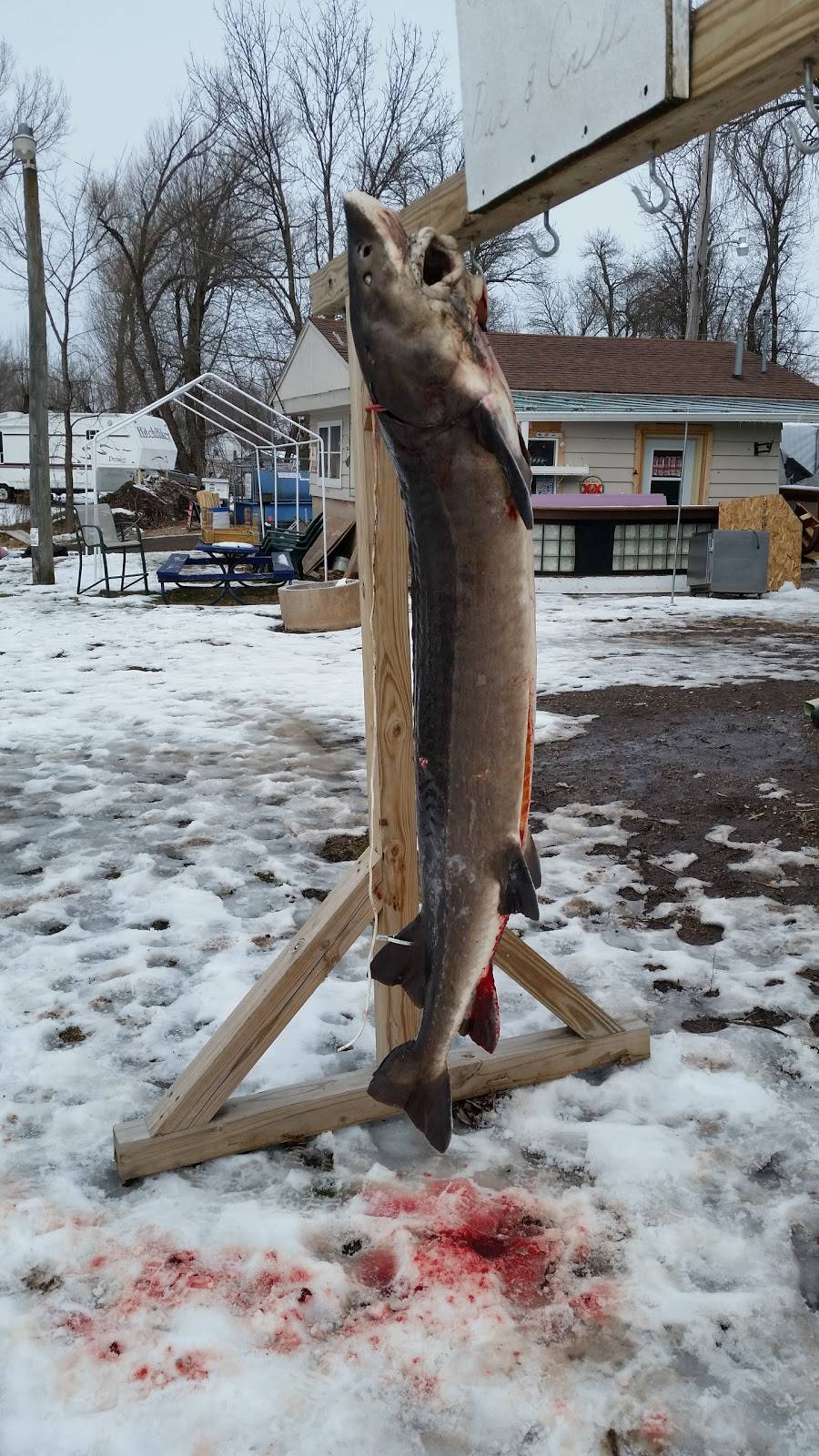 Boom Bay Bar and Grill | restaurant | 7884 Cut Off Ln, Larsen, WI 54947, USA | 9208362073 OR +1 920-836-2073