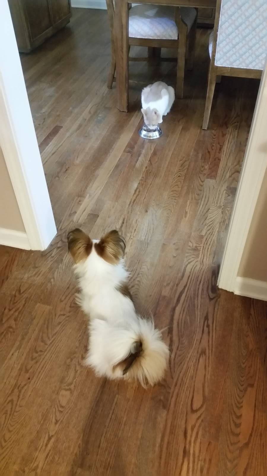 J. Christophers | restaurant | 11725 Alpharetta Hwy, Roswell, GA 30076, USA | 7708170200 OR +1 770-817-0200