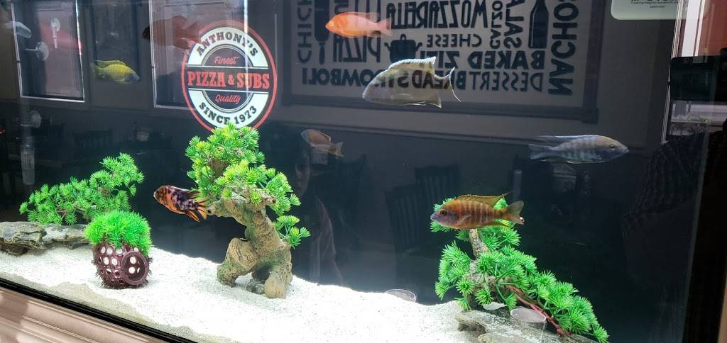 Anthonys Pizza | restaurant | 2644 Valley Ave, Winchester, VA 22601, USA | 5406675660 OR +1 540-667-5660